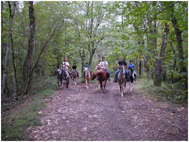 Dans les bois autour de Missandre