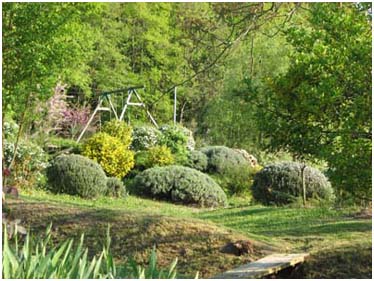 Superbe nature de Missandre