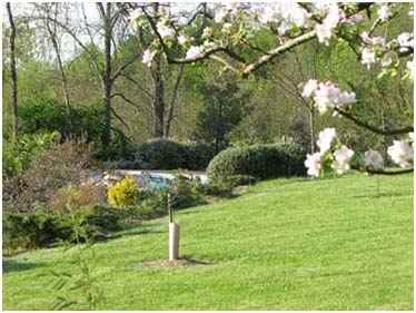 Couleurs et senteurs du printemps