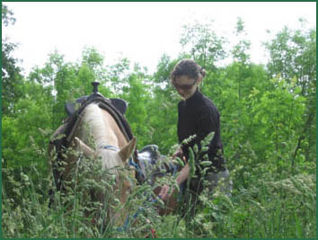Dtente et Repos Nature
