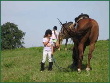 Le Lot et Garonne  cheval
