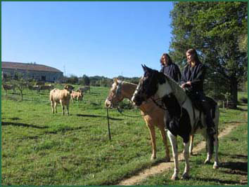 Le Lot et Garonne  cheval