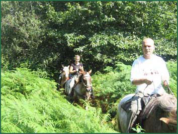 Le Lot et Garonne  cheval