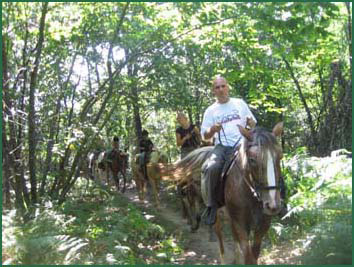 Le Sud Ouest  cheval