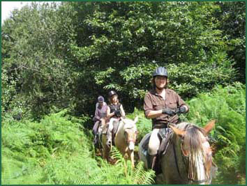 Le Lot et Garonne  cheval