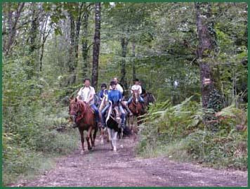 Superbes chemins boiss autour de Missandre