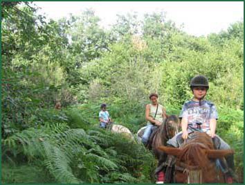 Le Lot et Garonne  cheval