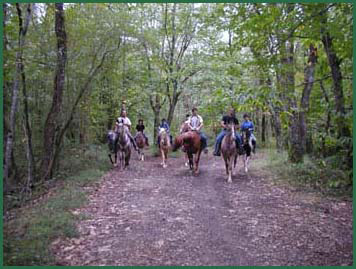 Le Lot et Garonne  cheval