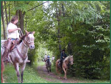 De magnifiques balades